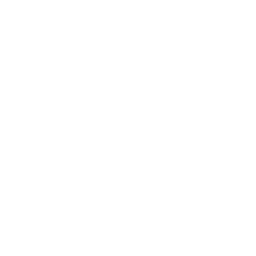 Transfer Icon